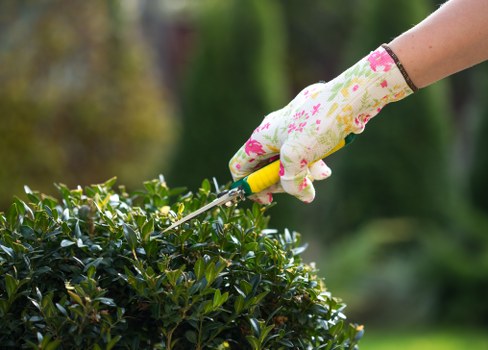 A close-up view of a gardener's hand wearing a floral-patterned garden glove, using a small hedge trimmer to carefully trim a dense, dark green hedge. The hedge is situated in a well-maintained garden outdoor space, with a lush, blurred background of trees and plants, suggesting a garden in the Seven Sisters area. The trimmed hedge shows fresh cut marks and well-defined edges, indicating a tidy and professional landscaping maintenance process. The scene is lit by natural daylight, highlighting the rich foliage and details of the gardening tools. This image exemplifies professional hedge trimming activities, which are services offered by companies like Hedge Trimming Seven Sisters, to support garden aesthetics and health in local garden spaces, including front and back yards with neatly shaped hedges and lush lawn areas.