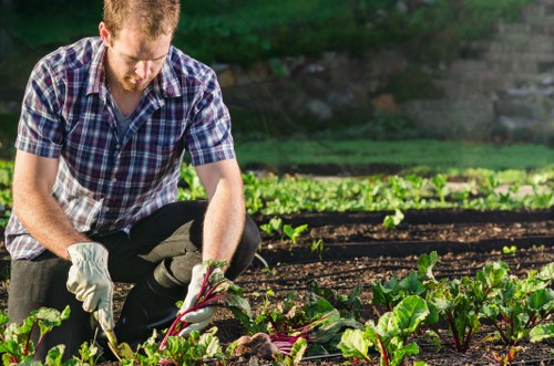 Professionals performing garden clearance in Seven Sisters