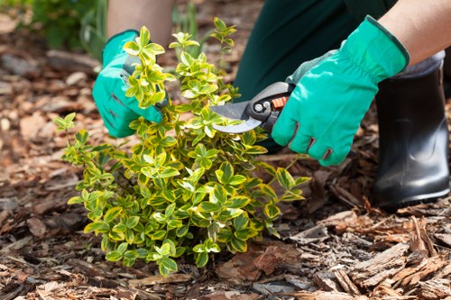 Garden maintenance crew clearing overgrowth in an urban back garden
