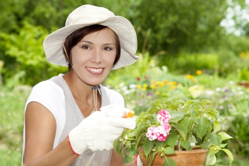 Healthy green grass with flowers
