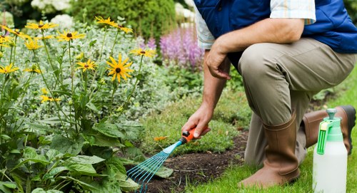 Eco-friendly garden clearance practices being implemented