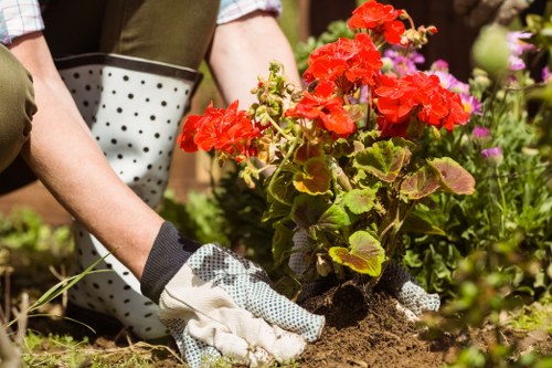 Community garden hedges in Seven Sisters with accessible path