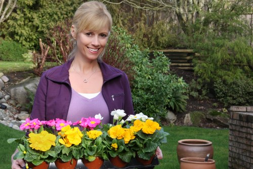 Professional gardeners working in Seven Sisters garden