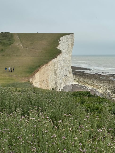 A coastal scene featuring white chalk cliffs towering over a narrow pebble beach with dark, damp soil and scattered seaweed near the shoreline. The cliffs have a rugged texture with visible layers of 
