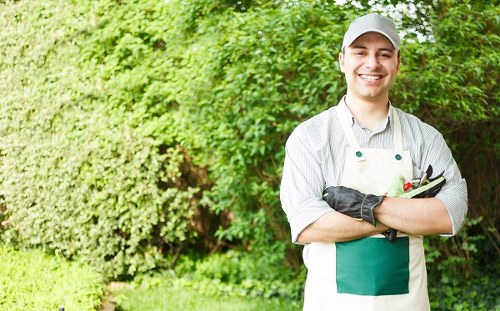 A thriving garden with professionally trimmed hedges